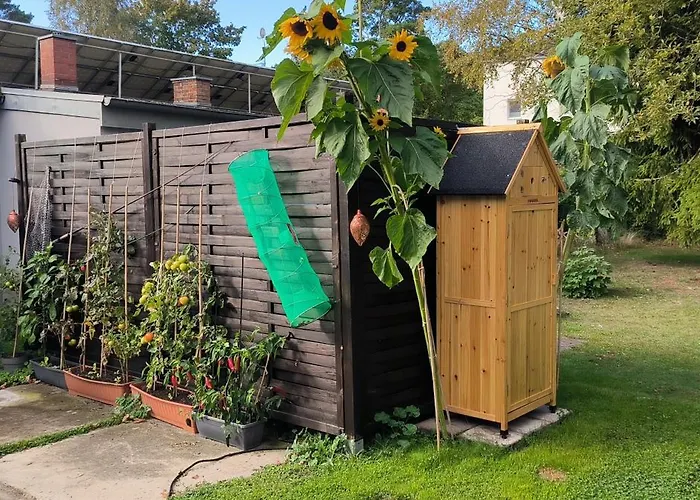 Apartment Strandparadies 3 *